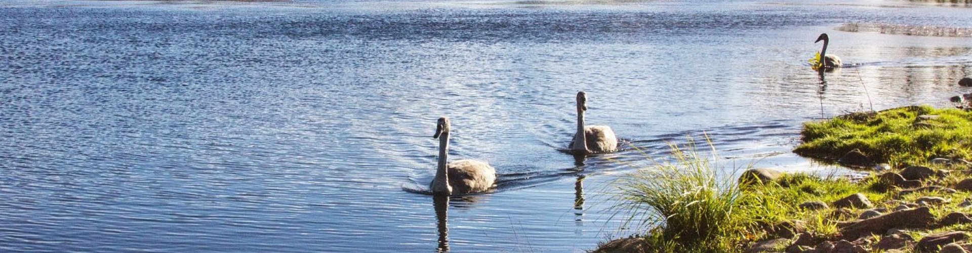 Guest room accommodation in Sedgefield