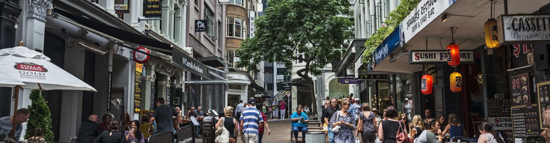 Auckland cityscape landscape