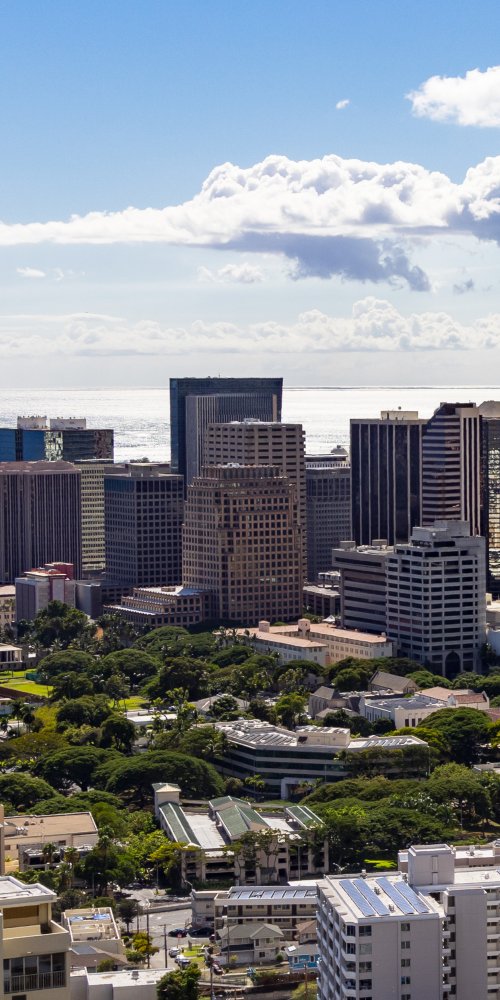 Honolulu transport options