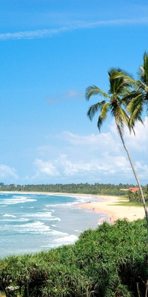 Getting Around Bentota