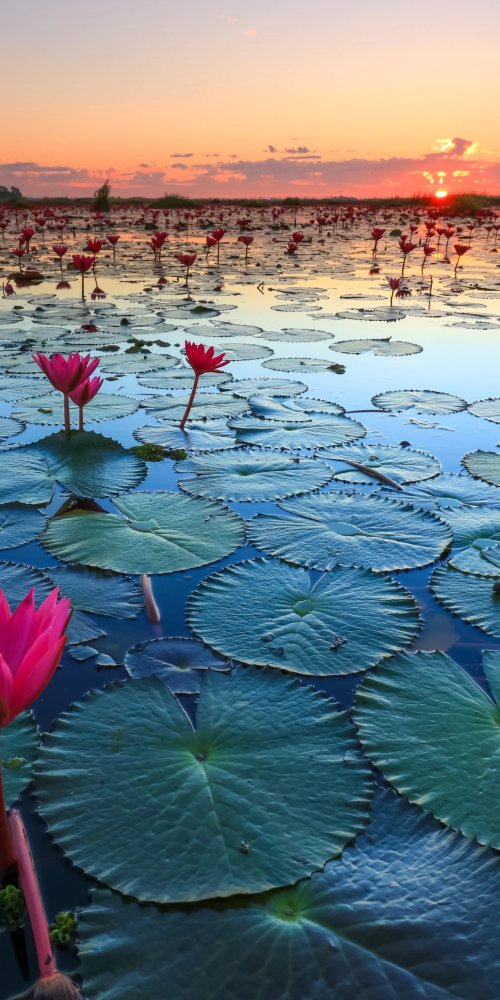Transport in Udon Thani
