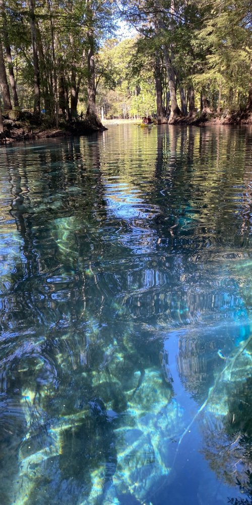 Local transportation in High Springs, FL, US