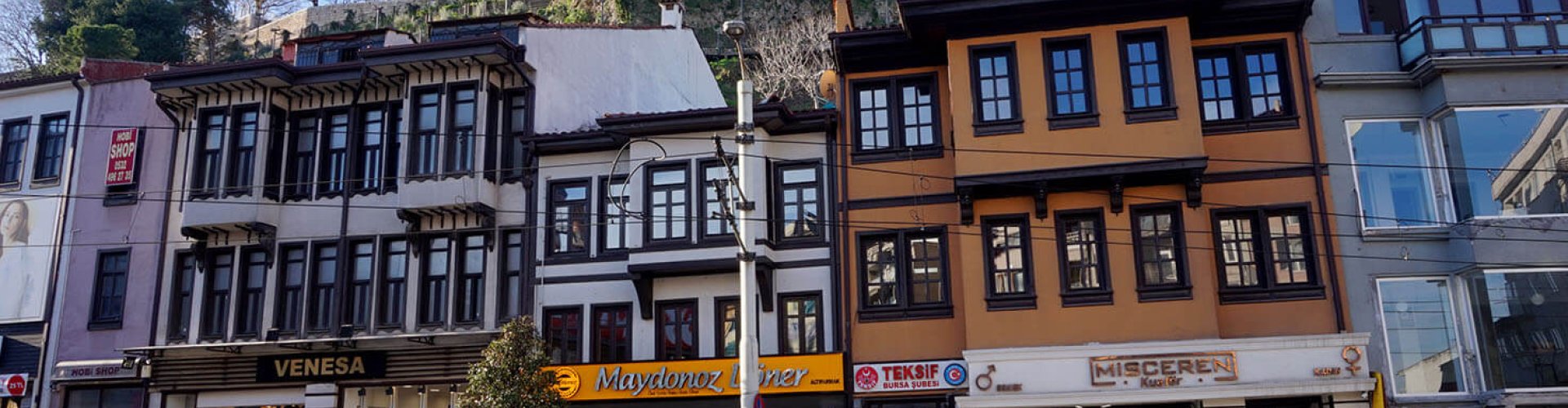 Bursa panoramic view