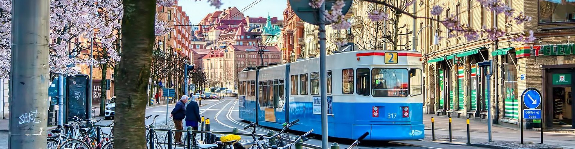 Gothenburg City View