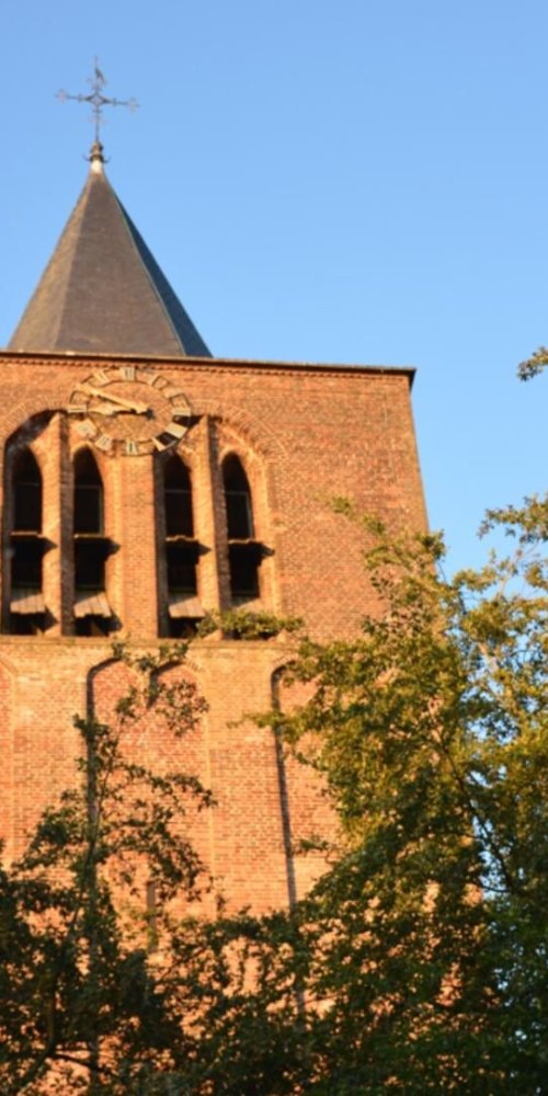 Steensel neighbourhood streetscape