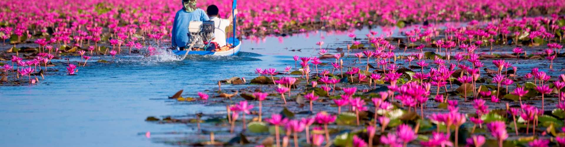 Scenic view of Udon Thani landscape
