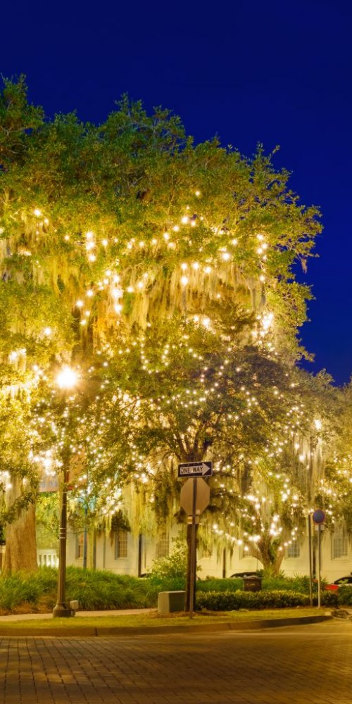 Transport options in Tallahassee