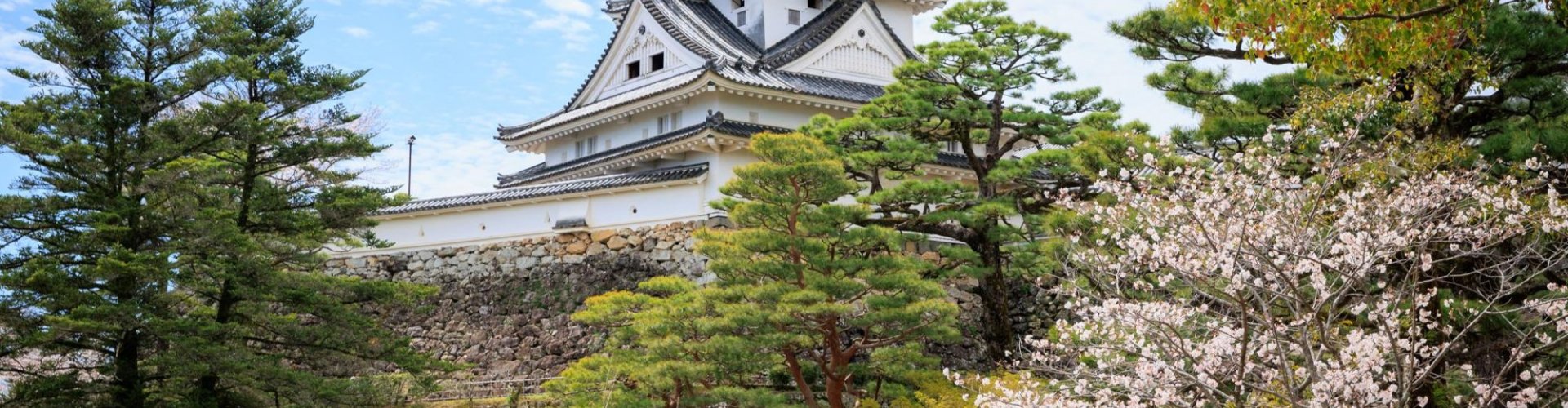 Kochi, JP guest room stay