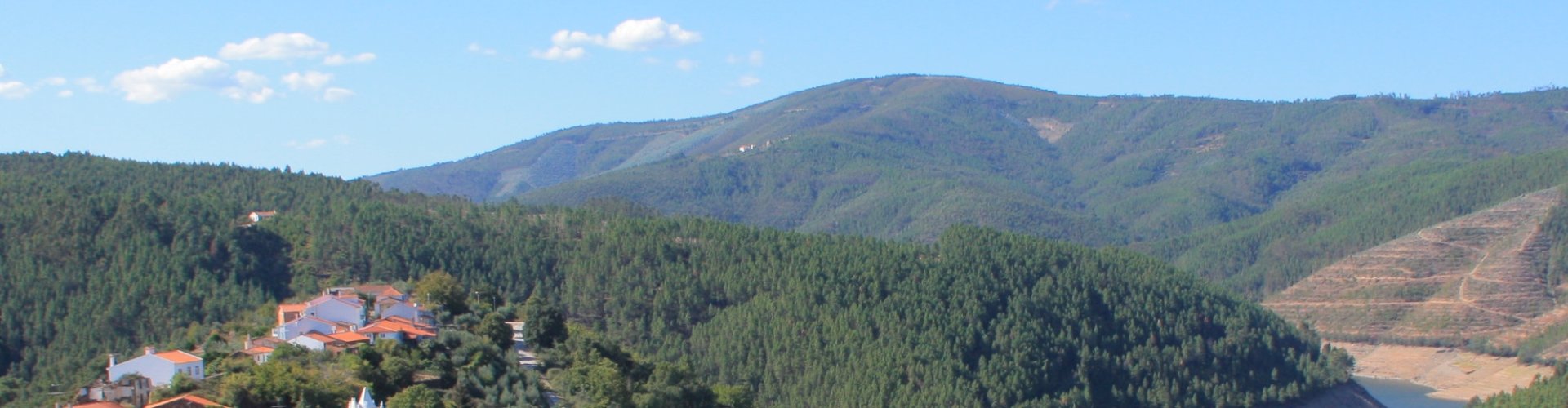 Resident-friendly guest room in Madeirã